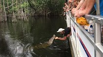 Black River Safari with Transport from Montego Bay