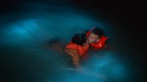 Luminous Lagoon Night Cruise From Montego Bay