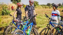 5-Hour Biking Tour in Mekong Island