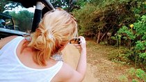Tour Packages in Sri Lanka - Most Popular Round Tour - All in One Tour