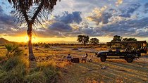 Wildlife Adventures of Central Kenya