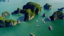  All-Inclusive: Halong Bay Full Day Trip with Ti Top Island, Surprising Cave