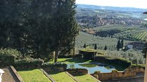 Leonardo da Vinci Voyage with Olive Oil, Food and Wine Dream