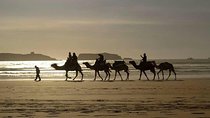 Essaouira Day Trip From Marrakech