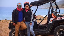 Cabo Original Real Baja 1000 Tour (Quad UTV)
