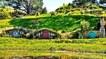 2 Night Auckland - Departure Option with Hobbiton and Waitomo 