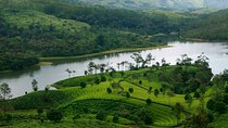 Glimpses of Kerala in 6 days Private Tour with Sanguine Holidays