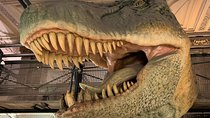 Mamma Mia! Discover the Dinosaurs at London Natural History Museum Tour for Kids