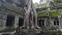  Half Day Angkor Wat Sunrise Private Tour