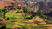 Day trip to Imlil Valley 