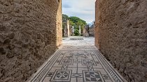 The legendary seaside city by Mount Vesuvius with a Local