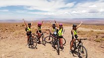 23km downhill bike tour + trekking among giant cacti
