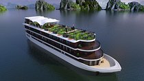 Halong Bay Luxury Cruise 2D/1N: Kayaking, Swimming, Surprise Cave, Titop island