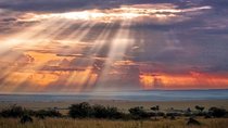6 Days Maasai Mara/Nakuru/Amboseli Group Safari