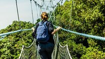 2-Day Custom itinerary in Nyungwe National Park (Chimpanzee Tracking)