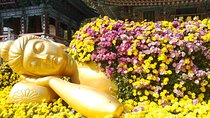 Evening Harmony: From Budda to the weeping Monarch