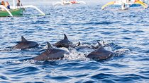 Full-Day Bali Highlights with Dolphin Tour