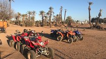 Half Day Marrakech Palm groves Quad Bike