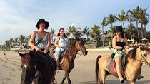 Seminyak Beach Horse Riding in the most beautyfull beach In bali