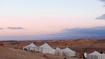 Half day Agafay : Camel Ride +Dinner + Show + Quad + transport