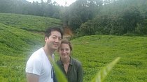 2 Nights Misty Munnar Sightseeing (Private Tour with Car) - Iris Holidays