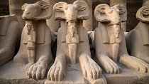 Overday Luxor 
