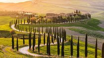 Private Day Trip Tuscany Landscape and Wine Tasting from Florence