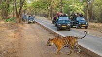 Private 5 Days Delhi Agra Jaipur Ranthambhore Tour From Delhi 