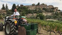 TRANSFER TOUR Lucca to Florence with a wine-tasting tour in CHIANTI