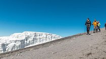 Mt Kilimanjaro Trek, 6 Days - Umbwe Route 