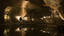 From Krakow: Auschwitz-Birkenau and Salt Mine with Private Transfer