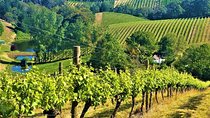 Adelaide Hills Private Day Tour