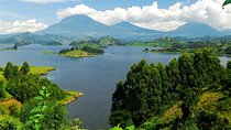 Safari to Kibaale Forest, Queen Elizabeth and Lake Mburo National Parks