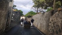 Package: 70€ 3 tours - 3 days 