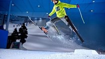 Half Day Private Snow Classic Dubai - Ticket + Transfer
