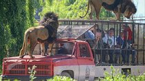Safari Park Full Day from Santiago