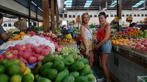 Bali Besakih Tour