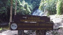 Khao Sok National Park Safari Full Day Tour from Phuket