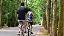 Full-Day Angkor and Temples Cycling Tour - Inclusive Lunch