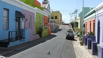 Private Cape of Good Hope and Penguins tour from Stellenbosch. 