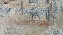Tour of the Roman Empire from Madrid