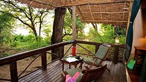 4 Days Samburu , L. Nakuru & L. Bogoria safari package (minimum 2 Pax)