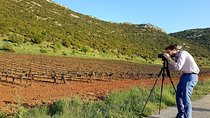 Private Mycenae, Anc Nemea & Nemean Winery Experience from Athens