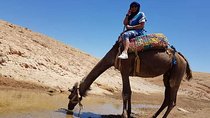 Agafay desert + quad + camel riding /dinner 