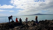 Auckland Bush, Beach and Bites Trail