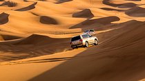 Morning Desert Safari