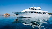 Ocean Flyer | Elite (18+) Cruise