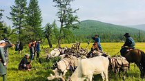 Wonders of Northern Mongolia 15 days 