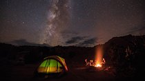 Liwa Overnight Safari