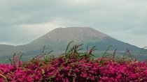 Naples Cruise Port: Pompeii SkipTheLine & Mt Vesuvius Lunch WineTasting Included